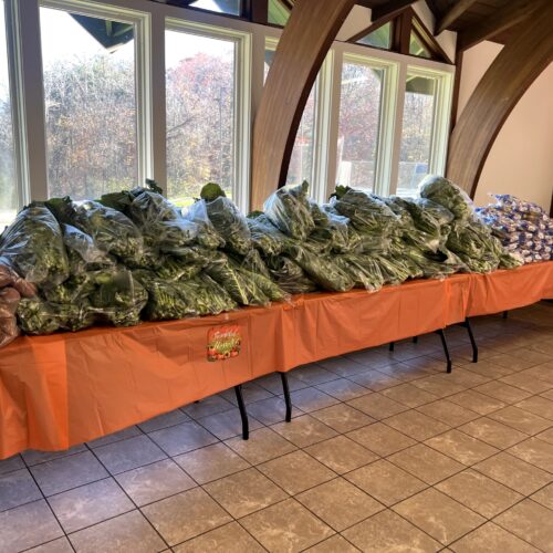 IMG_2678(1)_resized IMG_2678(1)_resized