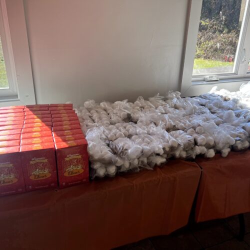 IMG_2681(1)_resized IMG_2681(1)_resized