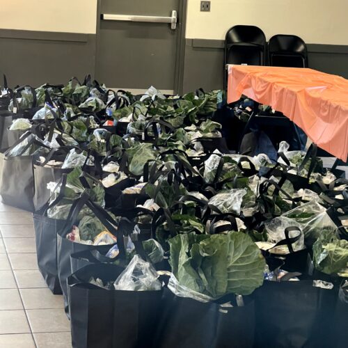 IMG_2703(1)_resized IMG_2703(1)_resized